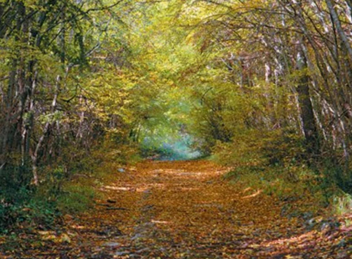 Kaiserwald Póla Kültér fotó