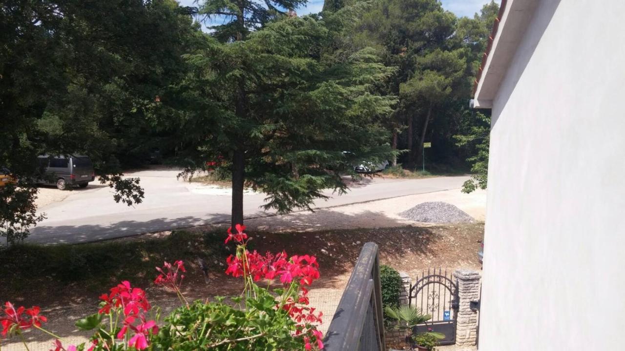 Kaiserwald Póla Kültér fotó